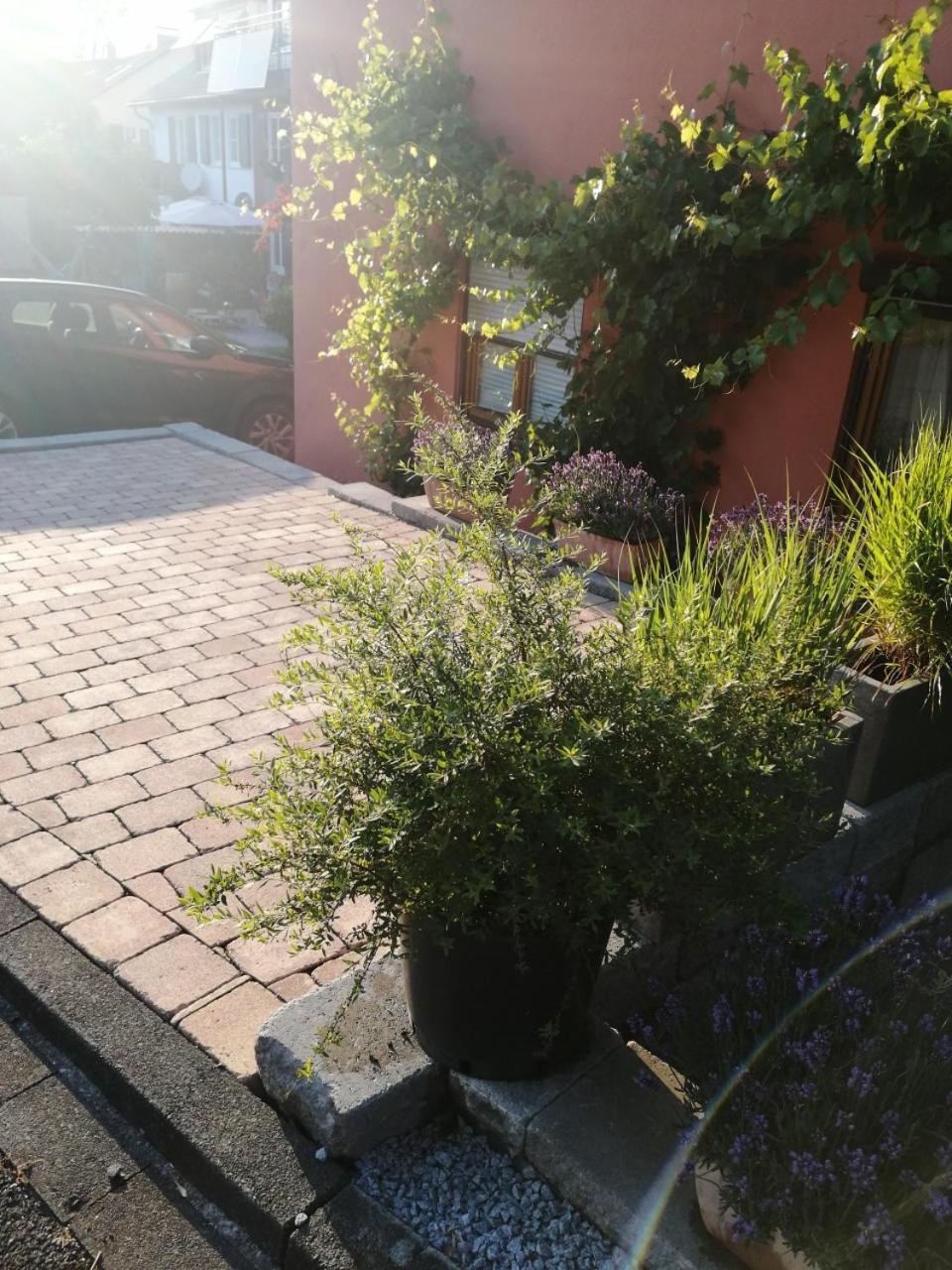 Haus Meersburg Garten エクステリア 写真