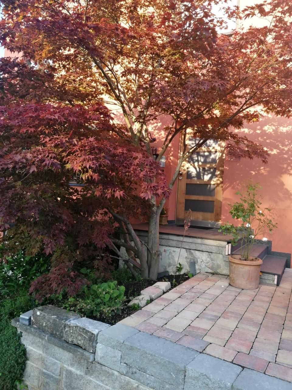 Haus Meersburg Garten エクステリア 写真