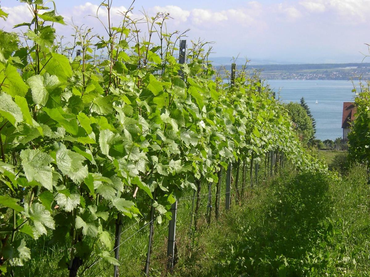Haus Meersburg Garten エクステリア 写真